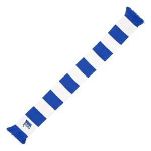 BUFANDA DE VENTILADOR ""Bandera rayas de bloque"" HERTHA BSC BERLÍN - Imagen 1 de 1