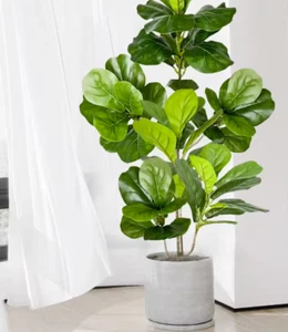 70-135cm Large Artificial Ficus Tree Fake Rubber Plants Branch Plastic Fiddle - Picture 1 of 9