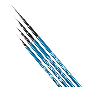 Festivology Telescopic Flag Pole for Camping and Festivals - stake and bag - Picture 1 of 12