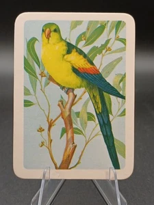 Tuckfield's Australiana Bird Studies #108 Regent Parrot - Picture 1 of 2