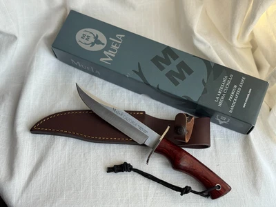 Cuchillo Muela Cazorla - Hoja de Acero Inoxidable 6" con Funda de Cuero, Acero MoVa Foto 1 de 4