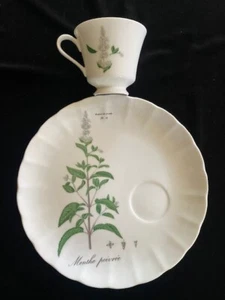 Plato y taza de hierbas botánicas Sigma Tasteetter "Menthe Poivree" de colección/3 ajustes - Imagen 1 de 8