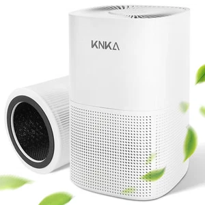 KNKA Luftreiniger H13 HEPA Filter Ionisator Raumluftreiniger Allergiker Pollen - Bild 1 von 10