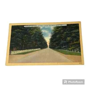 Postkarte Durch die Kiefern Columbia Avenue Rehoboth Beach Delaware um 1948 A181 - Bild 1 von 3