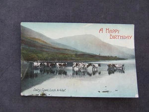 Very Old Postcard A Happy Birthday, shows Dairy Cows Loch Arklet, Stogumber 1908 - Picture 1 of 2