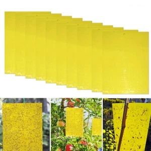 Gelbtafeln Gelbsticker Gelbtafel Falle Insektenfalle Mücken Kleber Fliegenfalle - Bild 1 von 10
