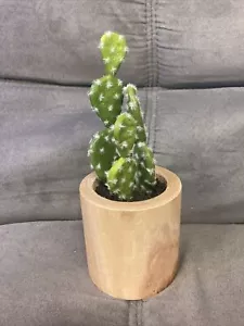 Soglia Decorazione da Tavolo Finto Cactus Cactus in Vaso di Legno - Foto 1 di 4