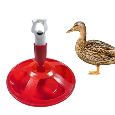 Automatische Hühnertränke, automatischer Wasserspender für Enten, - Bild 1 von 4
