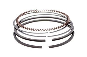 fasce elastiche Briggs & Stratton 5, 6 CV 110600-111600, 120H00-125H00 / 499425 - Foto 1 di 2