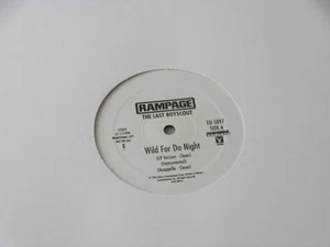 RAP ''~ LAST BOYSCOUT~ WILD FOR DA NIGHT~ RARE~ PROMO~ MINT COPY ~RAMPAGE - Picture 1 of 1