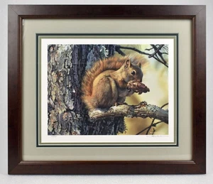 Carl Brenders Picknick Barsch Eichhörnchen Limited Edition Druck signiert nummeriert gerahmt - Bild 1 von 10