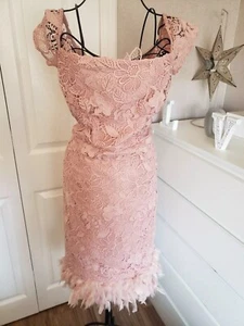 Abito pizzo rosa nudo orlo piuma labbra taglia 12 festa occasione matrimonio sera - Foto 1 di 24