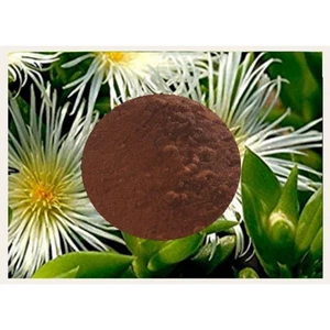 KANNA 100:1 EXTRACT POWDER 25g Sceletium tortuosum **x100 Stronger Than Herb** - Picture 1 of 1