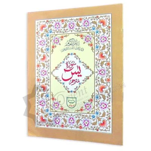 Corán Surat Yasin Ya-Sin + Traducción Urdu Cartas Negritas 8 Líneas Grandes 24x18cm - Imagen 1 de 4