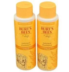 2 Bottles Burt's Bees Dogs Oatmeal Shampoo with Colloidal Oat Flour Honey 16 Oz  - Picture 1 of 3