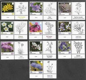 Sark Wild Flowers set to 10p October 2025 Nature Guernsey mnh - Picture 1 of 1