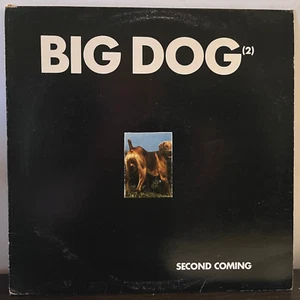 BIG DOG Second Coming / RIP CHORDS Need To Laugh - 12" Vinyl Record LP - VG+ - Picture 1 of 5