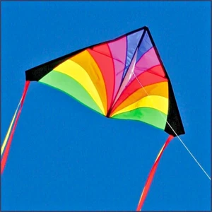 Delta Kids Kite + RipStop Nylon Material + Schnur am Griff + 2-Schwänze + Tasche - Bild 1 von 5