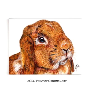 ACEO Print of Original Art, Rabbit, Brown Bunny, Collectible Card, Mini Art - Picture 1 of 1