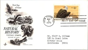 FDC 1970 SC #1390a Artcraft Cachet, Bald Eagle - New York, Ny - Single - J1923 - Picture 1 of 2