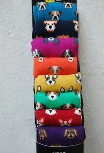 Confezione 8 Calze Uomo Cotone Ricco NEXT Cani Multicolore - Foto 1 di 3