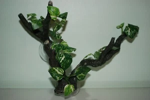 Vivarium Large Reptile Twin Sucker Mounted Branch Approx 25x25x10 cms To Clear - Picture 1 of 3