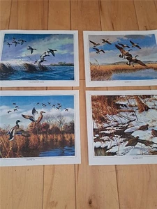 WILDERNESS WINGS CANVAS PRINTS BY DAVID MAASS FOUR CANVAS FOUR PRINTS 8 X 10 - Picture 1 of 4