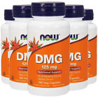NOW Foods DMG, 125mg 5X100 Veg Caps N-Dimethyl Glycine Pangamic Amino Acid