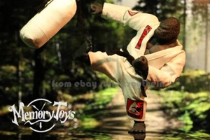 MEMORY TOYS Trend Doll Judo Gorilla 1\10 Action Model In Stock - Picture 1 of 4