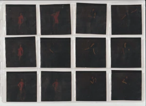 Photo Women 12 negative shots of a girl posing in Handsome VTG - Imagen 1 de 2