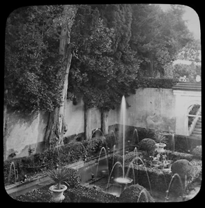 GRANADA THE GENERALIFFE - SULTANS CYPRUS TREE C1890 Magic Lantern Slide PHOTO - Picture 1 of 3
