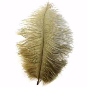 Ostrich Feather Drab 6-15cm x 5 - Gold ((SECONDS)) - Picture 1 of 1