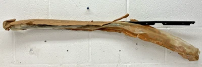 LH Glass Run Assembly Weatherstrip F8CZ-632-1457-AA  1998-03 Ford Escort (BIN76) - Image 1 of 4