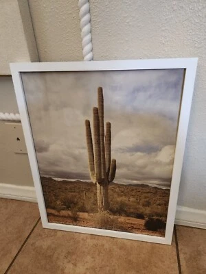 Cactus Pottery Barn en color 16 x 20 madera galería marco arte blanco Foto 1 de 4