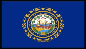 Parche Bandera Estado Nuevo Hampshire con Gancho y Lazo Moral Táctico Borde Negro I - Imagen 1 de 1