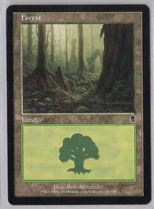 1x Forest #348 - Odyssey - Near Mint - Bild 1 von 1