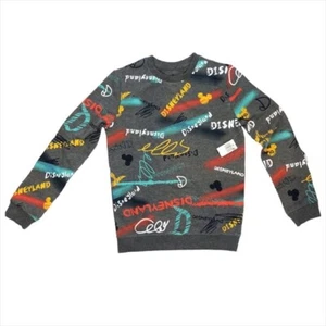 Disney Resorts Disneyland Light Sweatshirt Youth L Pullover Grey - Picture 1 of 7