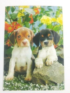 Vintage 1970's Get Well Greeting Card Two Puppies "Adorable Dog Cards" - Foto 1 di 3