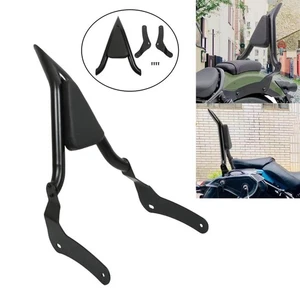 Black Sissy Bar Passenger Backrest For Honda Rebel 300 500 CMX300 CMX500 2017-24 - Picture 1 of 12