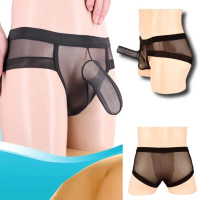Men Sexy Sheer Mesh Underwear Transparent Penis Sheath Underpants Brief PlusSize - Image 1 of 4