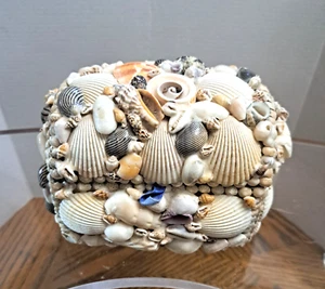  Caja de baratijas Seashell con diseño interior 6"" de largo x 4"" de alto - Imagen 1 de 8