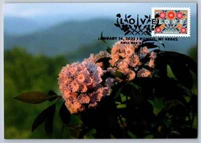 #5660 Love Blue Background FDC Maxi Card w/Pictorial Cancel - Image 1 of 2