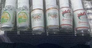 lot (6) BELMONT STAKES SOUVENIR GLASSES (2) 2001 (2) 2002 (2) 2003 Mint Horse - Picture 1 of 12