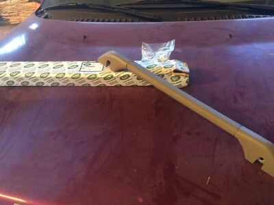 Reposabrazos de puerta trasera Land Rover Discovery STC8495SUC GENUINO NOS  Foto 1 de 2