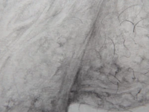 Tonal Pencil Drawing illustration Art Male Nude Anatomy Body Part Penis NSFW - Picture 1 of 9