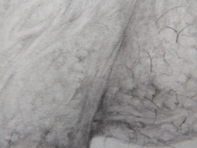 Tonal Pencil Drawing illustration Art Male Nude Anatomy Body Part Penis NSFW Art - Image 1 of 4