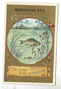 La carpe et les carpillons - - Fable - Chromo Musculosine Byla - Trade card - Bild 1 von 2