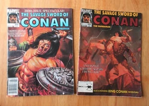 Lot of *2* Late-In-Series SAVAGE SWORD OF CONAN: #200, 205 (VG/Cover Grade) - Picture 1 of 8