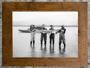 Remarkable... Men Holding Large Sturgeon , Fishing ... Antique 5x7 Photo Print - Picture 1 of 1