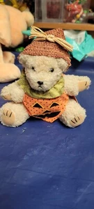 Russ Berrie Teddy Treaters Plüschbär mit Kürbis Kostüm - Bild 1 von 3